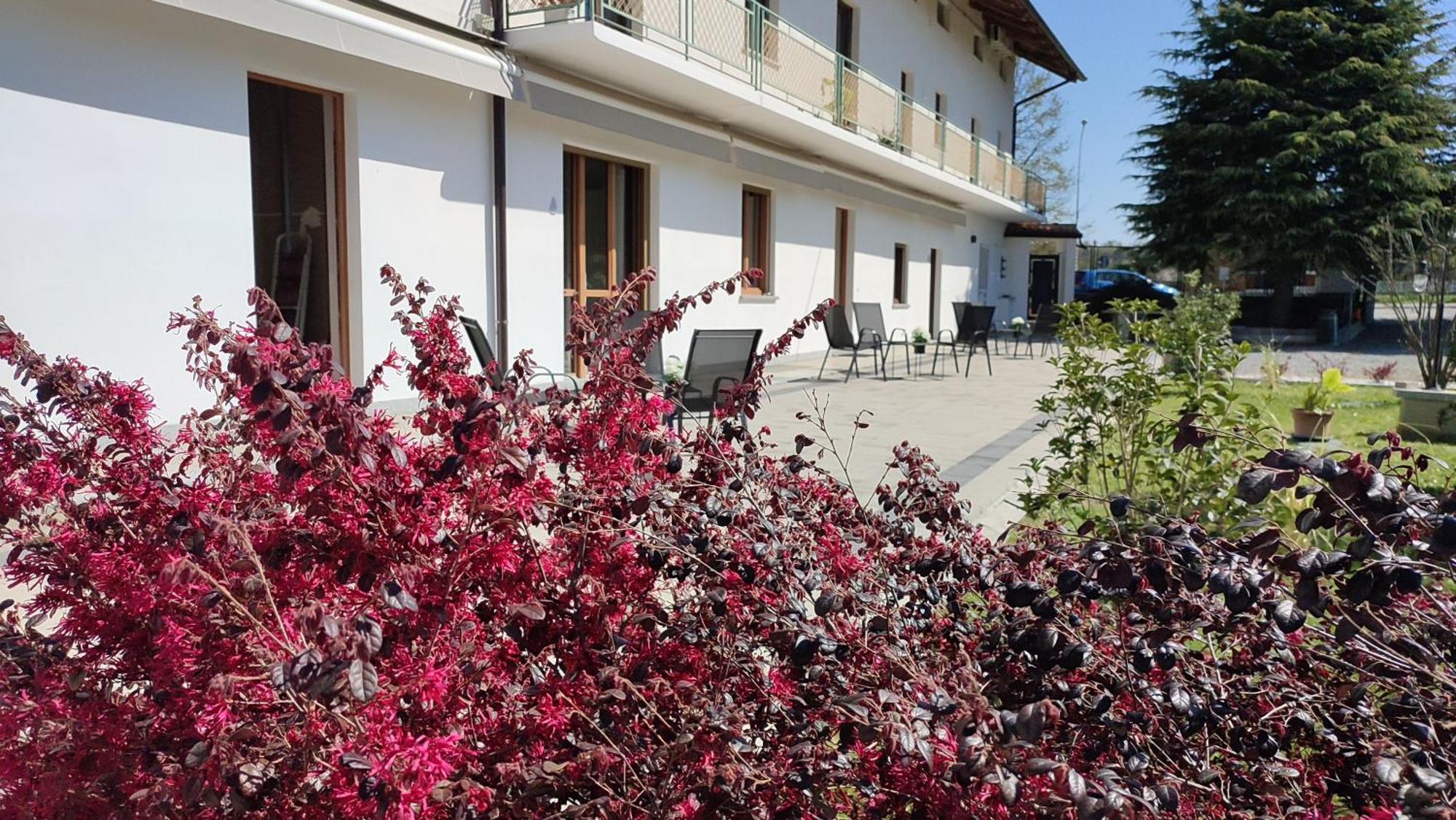 Nautica Tarello - Casa Ena Beb Bed & Breakfast Viverone Eksteriør bilde